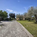 L' Oliveto Fiocca * Olmedo