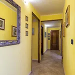 Apartament L' Oliveto Fiocca Olmedo