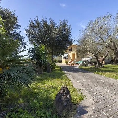 L' Oliveto Fiocca